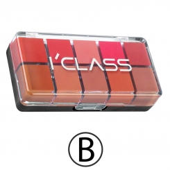 پالت رژ لب آی کلاس مدل B سری 10 رنگ I'CLASS Lip Gloss Palette B 10 Colors